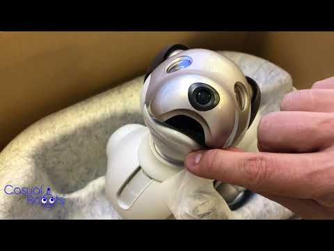Aibo Video 2067