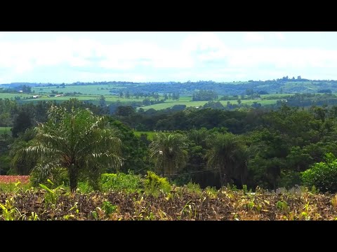 Paragay - Landschaft / Paisaje Itapua Hohenau/Trinidad im Westen - Sommer - 11.01.2026