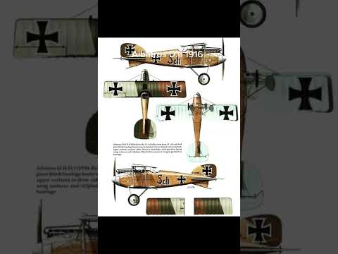 Albatros D.II 1916
