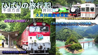 【鉄道旅ゆっくり実況】大井川鐡道乗車記～東海地方が誇る山岳鉄道へ