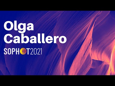 Thermal conductivity reduction in 3D bismuth nanowire networks - Olga Caballero | SOPHOT 2021