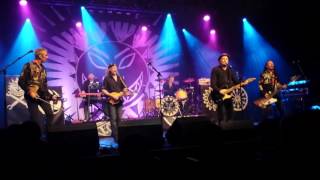 Levellers - Sell Out (LIVE) (Oct-31-2014)