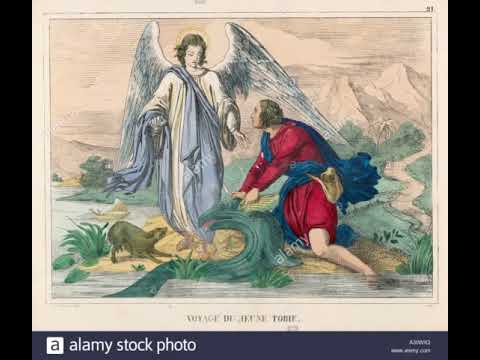 Compartimiento  de las lecturas. 6 - 4 - 21. Alfredo Zambrano.