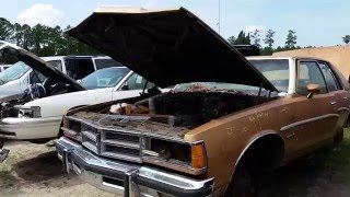 1977 Pontiac Catalina at LKQ junkyard in Daytona, FL