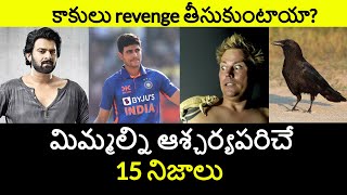 Top 15 Unknown Facts in Telugu | Interesting and Amazing Facts | Part 157| Minute Stuff