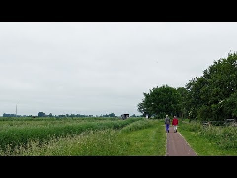 Weerbericht maandagmiddag: Komende dagen meer zon