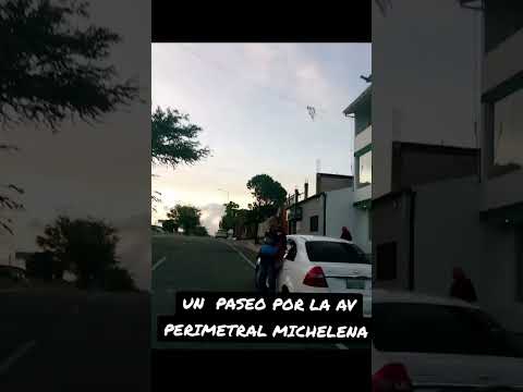 pasear MICHELENA