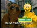 Sesame Street Doing Amazing Things
