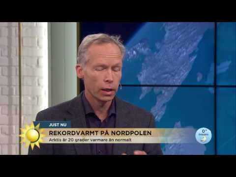 Rekordvärme på Nordpolen förbryllar - Nyhetsmorgon (TV4)