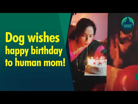 Dog wishes human mom happy birthday by clapping paws, video goes viral | Dog Video | Viral