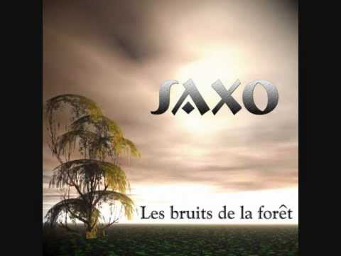 Saxo aka Jean Pierre Camus (Dj Say Medley)
