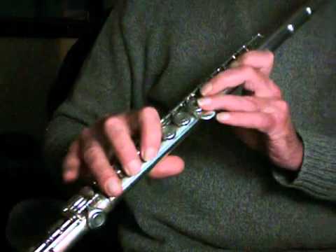 Jazz Flute: C Minor Blues