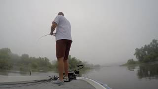 FLW Great Lakes BFL Practice " The Mighty Mississippi River" Lacrosse, Wisconsin