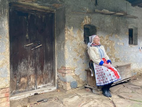 Náhled pro video reference