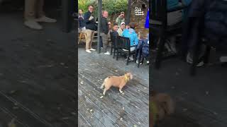 Miniature vidéo