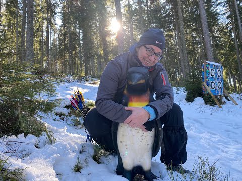 Winterparcours Eisenbach vom Bogensporthotel