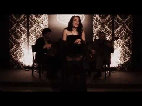 Sandra Correia - Gaivota