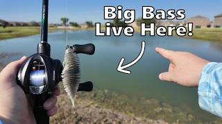 Fall Bass Fishing for Pond Giants! (Fishing Fort Worth, Texas in October)