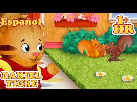Aprendamos sobre animales | Daniel Tigre en Español