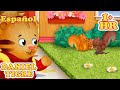 Aprendamos Sobre Animales Daniel Tigre En Español