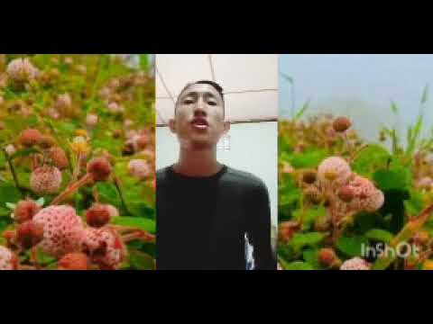 Ana ni myingthungthokala