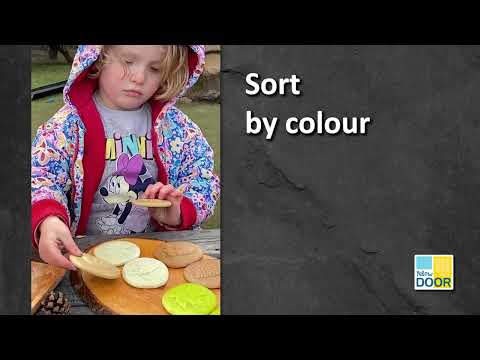 Slide 7 - Let's Investigate, Nature, Set of 8 (video)