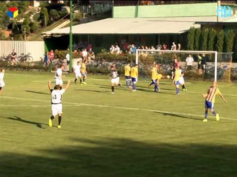 Fotbal divize D: FK Kozlovice - SFC Vrchovina 1:4 (1:2)
