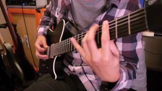 Lamb of God -The Duke (Guitar Cover)
