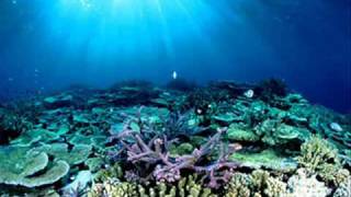 Australia's Great Wonder - The Great Barrier Reef
