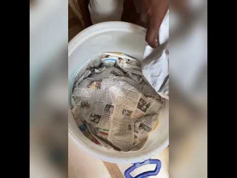 How I ripe mangos @ home || Easy Mangoes ripening technique