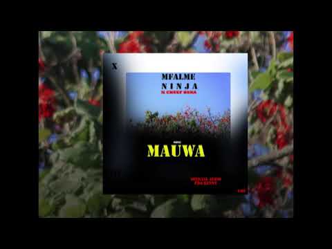 Mfalme Ninja X Chief Beka___MAUWA(Official Music) By BalloShineider