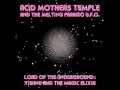 Acid Mothers Temple & The Melting Paraiso U.F.O - Eleking the Clay