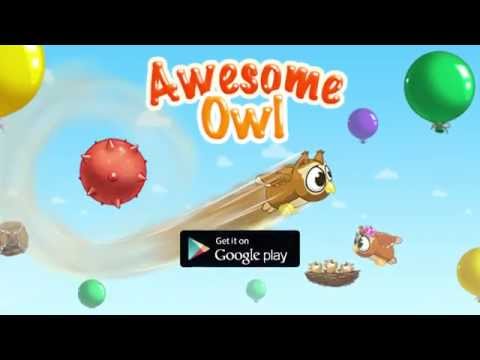 Awesome Owl Video
