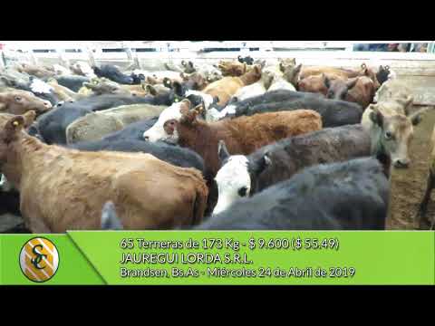 24-04-19 - Venta de Hembras - Jauregui Lorda S.R.L. - Brandsen