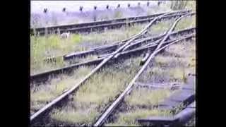 preview picture of video 'Mit der Schmalspurbahn im Juli 1991 nach Kipsdorf'