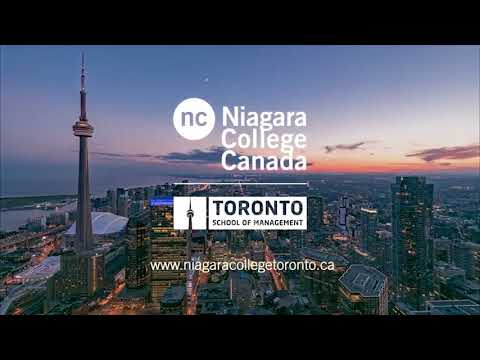 Excel in International Business Management: Graduate Certificate or Undergraduate Diploma at NCT