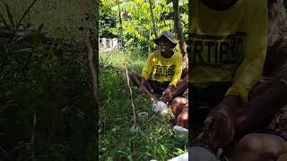 Download lagu Nanggap nang sap,pada jaman dahuluuu...#osingbanyuwangi#oribanyuwangi mp3 Download lagu Nanggap nang sap,pada jaman dahuluuu...#osingbanyuwangi#oribanyuwangi mp3