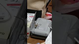 きょうのぬしさま