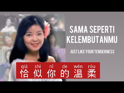 恰似你的温柔 - Qia Shi Ni De Wen Rou - Teresa Teng - 邓丽君 - Lagu Mandarin Subtitle Indonesia Pinyin