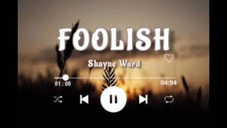 FOOLISH | Shayne Ward @The Soul of Life