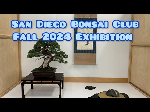 San Diego Bonsai Club Fall 2024 Bonsai Exhibition in Balboa Park