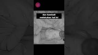 Download lagu Bayi Yang Membenci Suara Dengkuran Ayahnya #shorts mp3