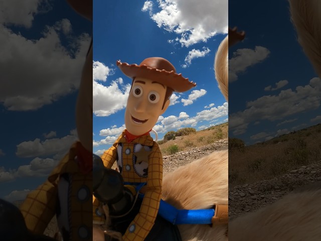 Vídeo relacionado con Niños Pixar Toy Story Woody And Bullseye Yeehaw Camiseta