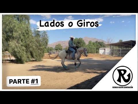 How to teach your horse to side (part 1)