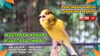 Download lagu Kenari GACOR NGEREK‼️ Masteran Kenari PAUD dan Pancingan Kenari MACET BUNYI dan Betina NGIWIR - 359 mp3 Download lagu Kenari GACOR NGEREK‼️ Masteran Kenari PAUD dan Pancingan Kenari MACET BUNYI dan Betina NGIWIR - 359 mp3