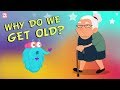 Why Do We Get Old The Dr Binocs Show Best Learning Videos For Kids Peekaboo Kidz