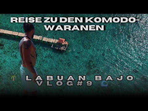 Reise zu Komodo-Waranen | Labuan Bajo – das Tor zum Abenteuer VLOG#9