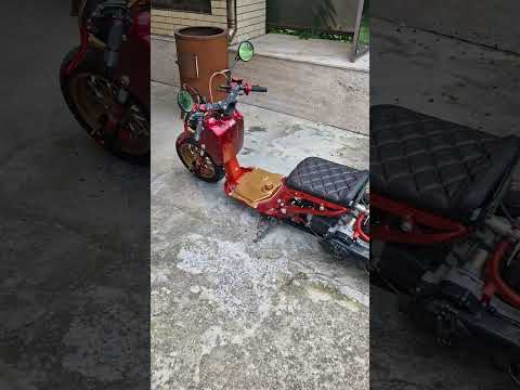 Honda ruckster, круговая сьемка