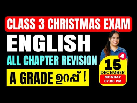 Class 3 English Christmas Exam | All Chapters Revision | Exam Winner