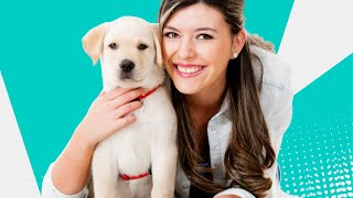 ✅ The Healing Power of Having a Dog